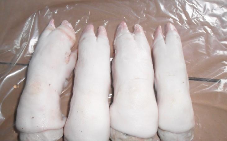 批发冷冻猪前蹄型号565的猪小排冰鲜猪蹄筋